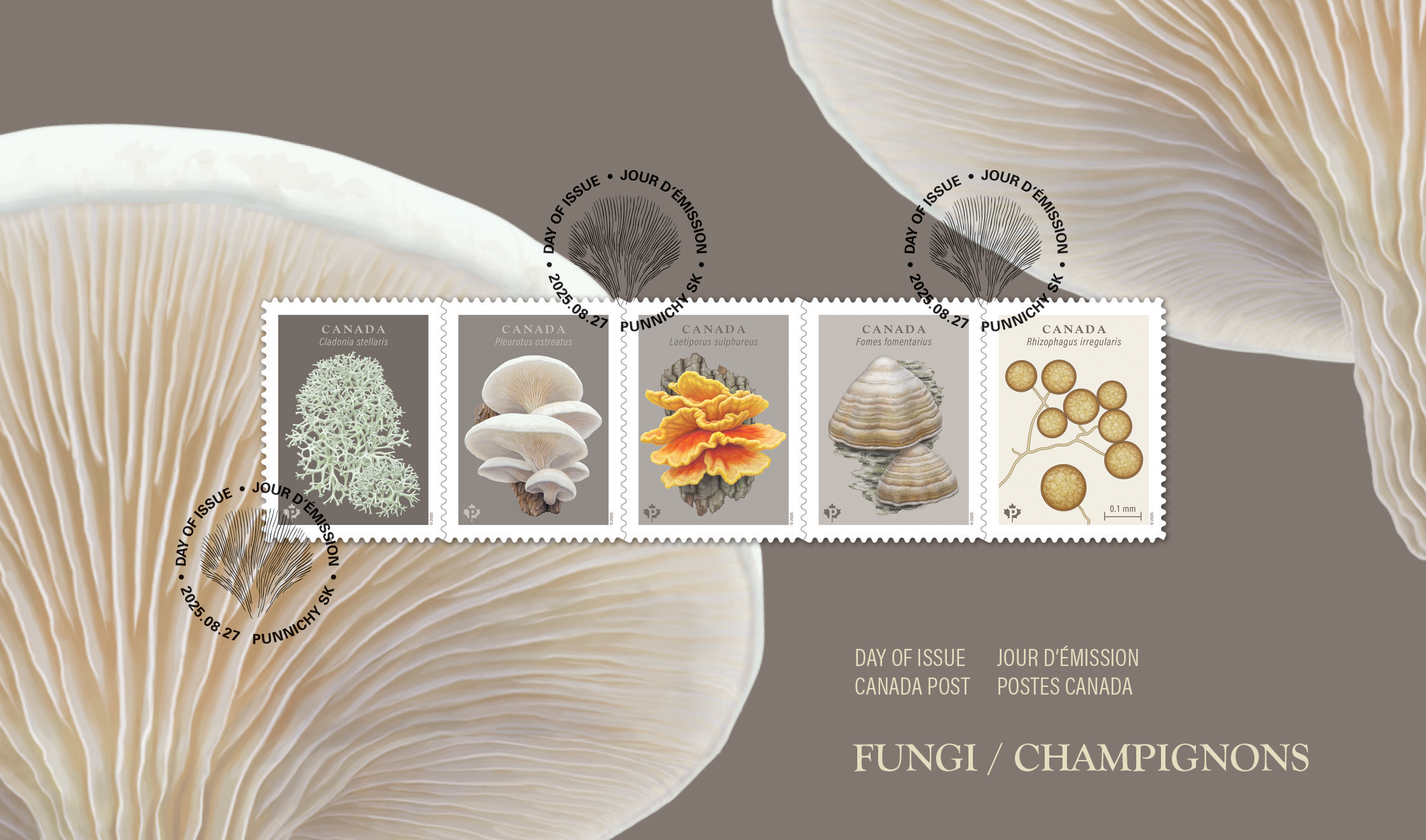 Canada Post fungi stamps 10 2025 Official First Day Cover for the set of fungi stamps; front (features 2 oyster mushrooms, plus set of 5 stamps, plus spore print cancellation marks)