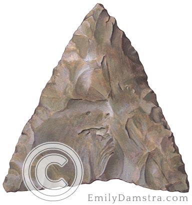 artifact projectile point ontario illustration