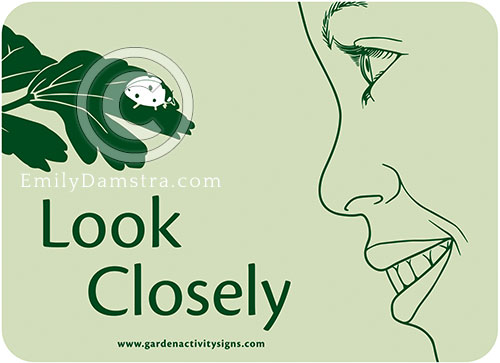 Garden Activity Sign illustrations 6 Damstra LookClosely