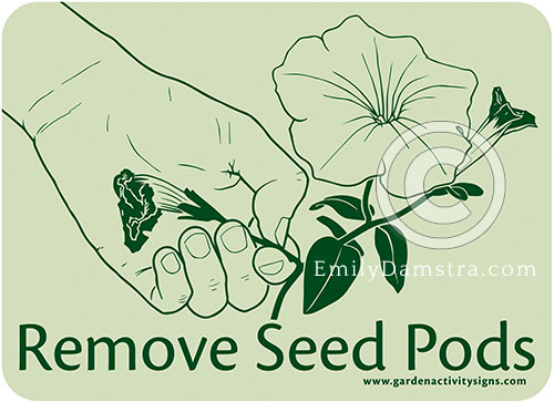 Garden Activity Sign illustrations 10 Damstra RemoveSeedPods