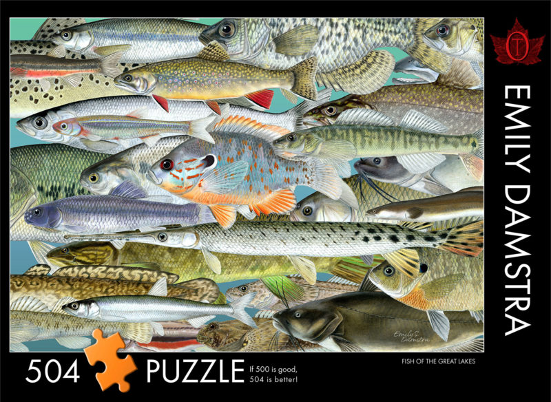 Fishes of the Great Lakes puzzle