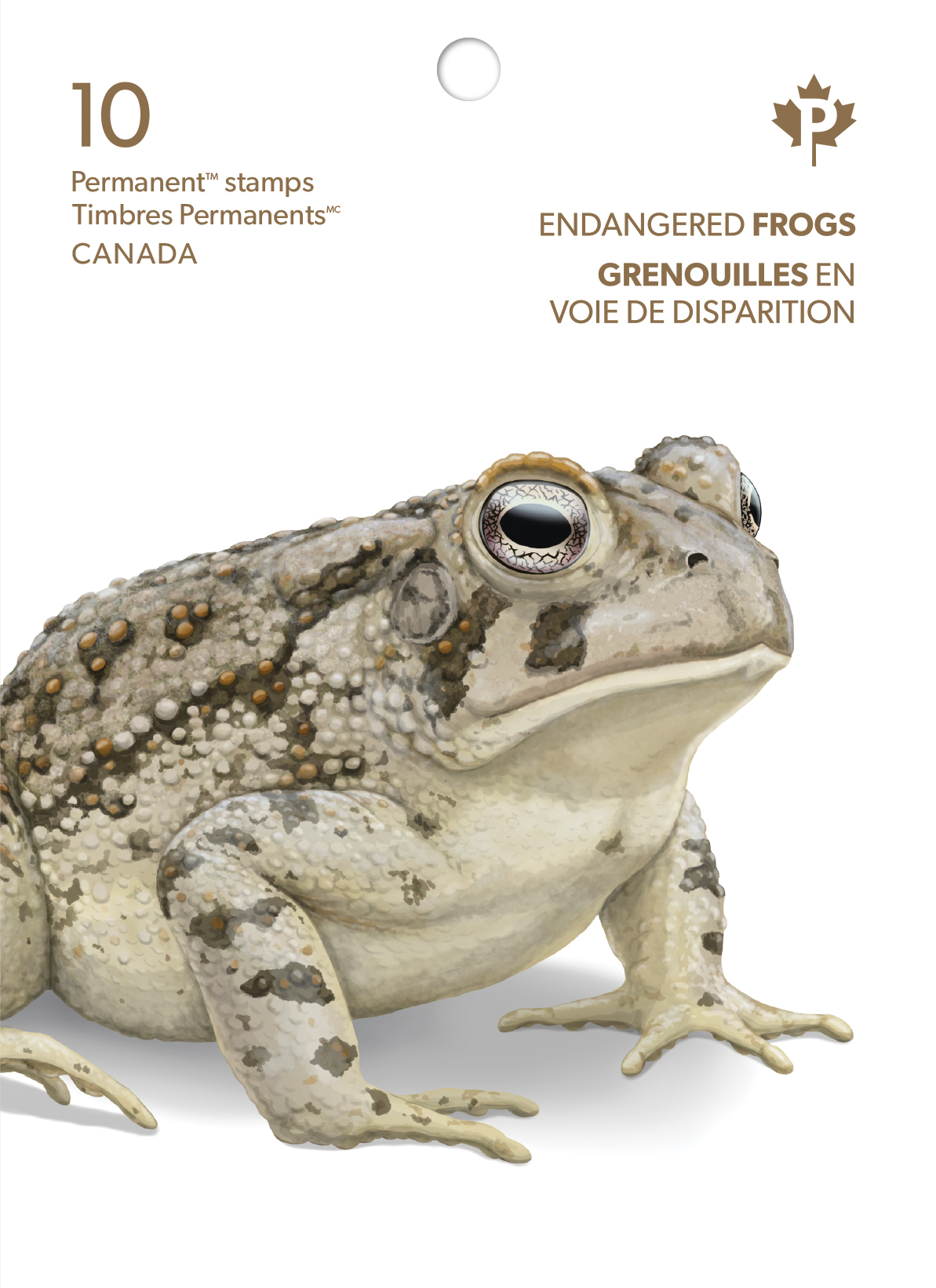 stamp booklet front cover illustration of Fowler's Toad