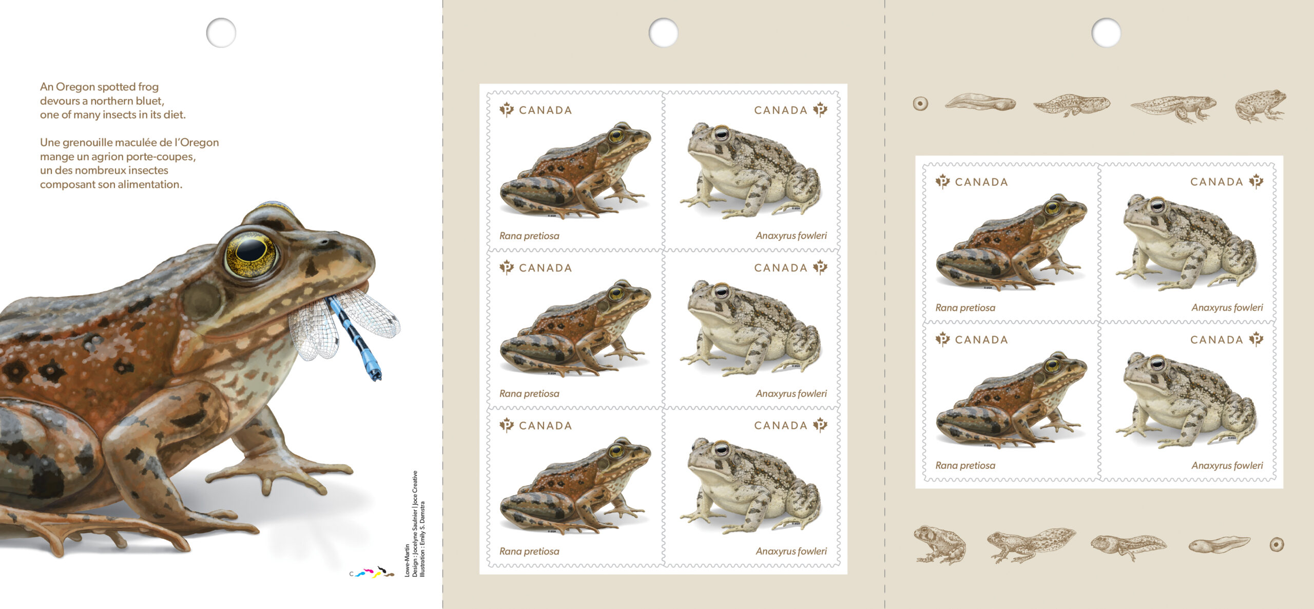 Stamp booklet pages featuring illustration of Oregon Spotted Frog eating damselfly, and stamps