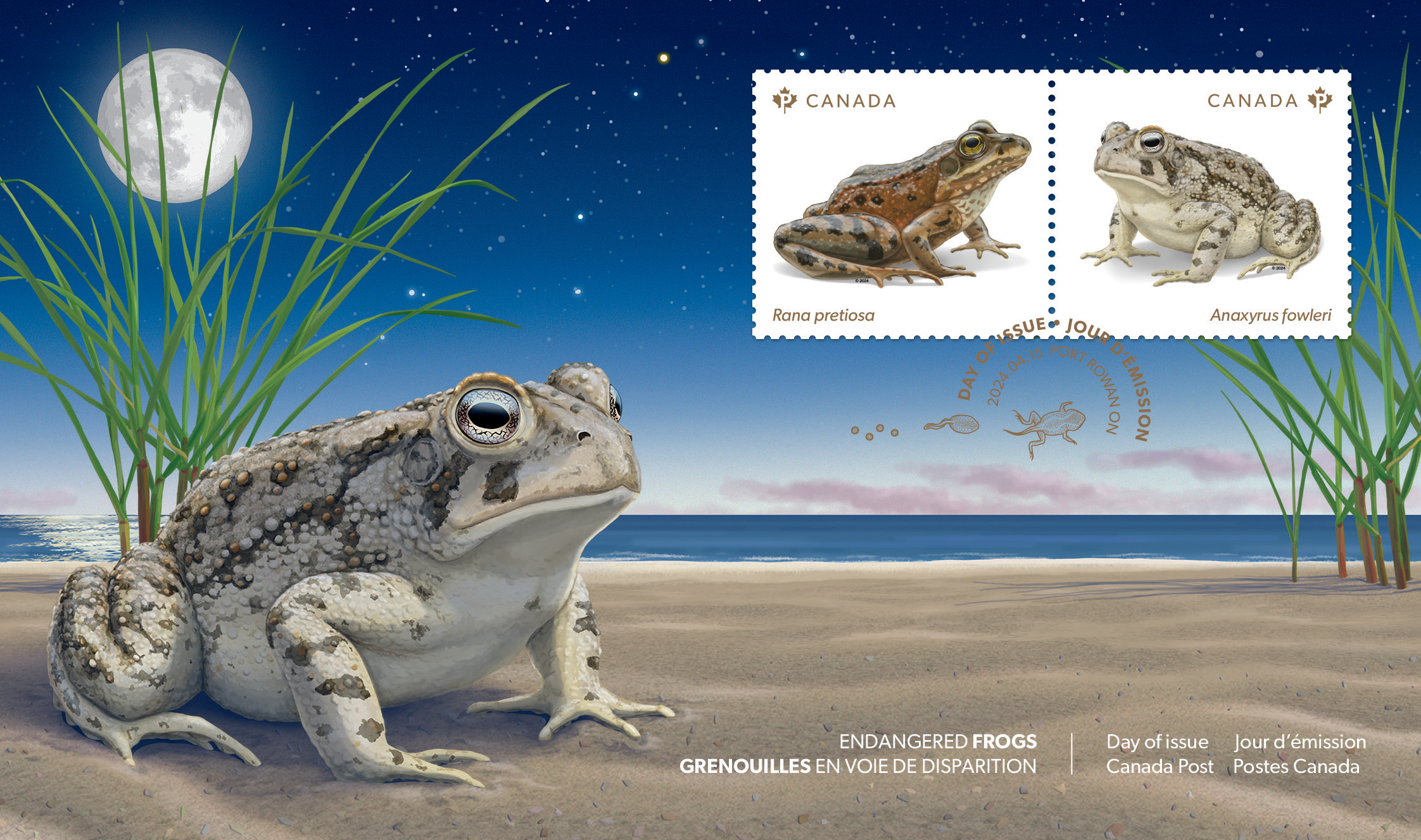 Toad on beach illustration for Official First Day Cover