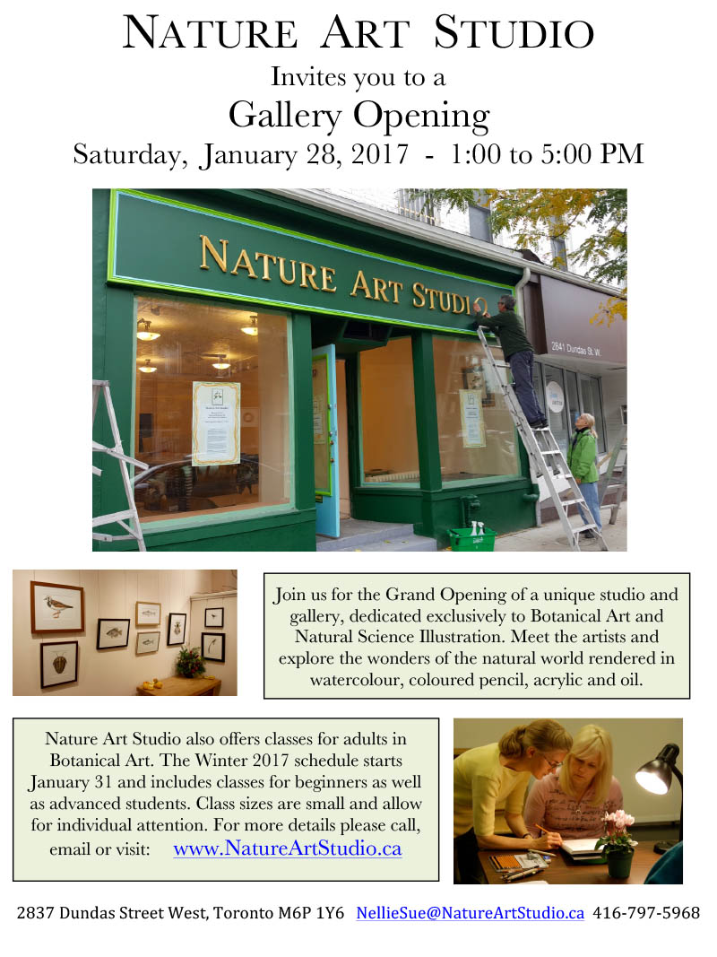 Nature Art Studio opening reception details