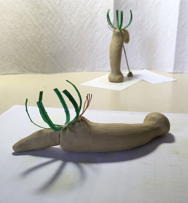 A fossil worm new to science, but half a billion years old 1 Gyaltsenglossus senis clay models