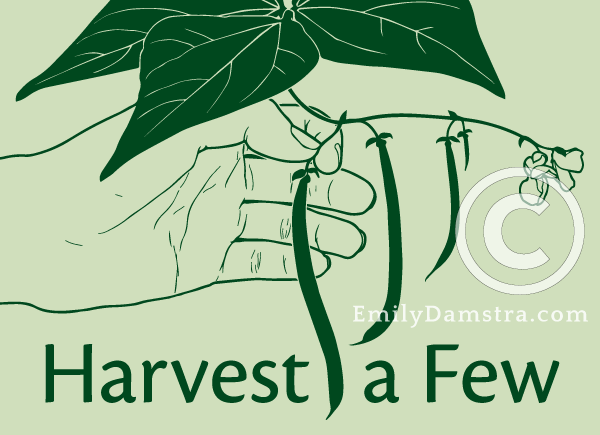 Harvest a Few illustration