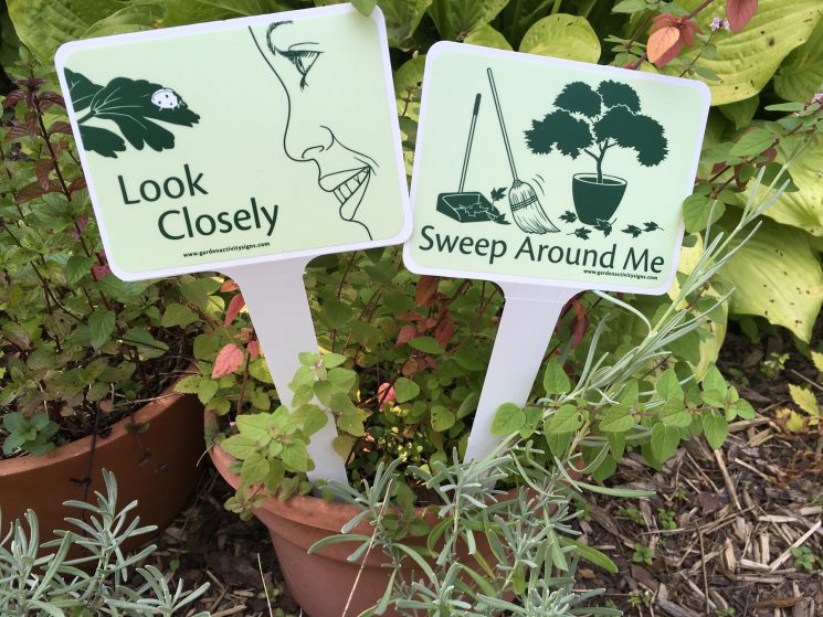 Garden Activity Sign illustrations 1 IMG 4497 e1505244623805