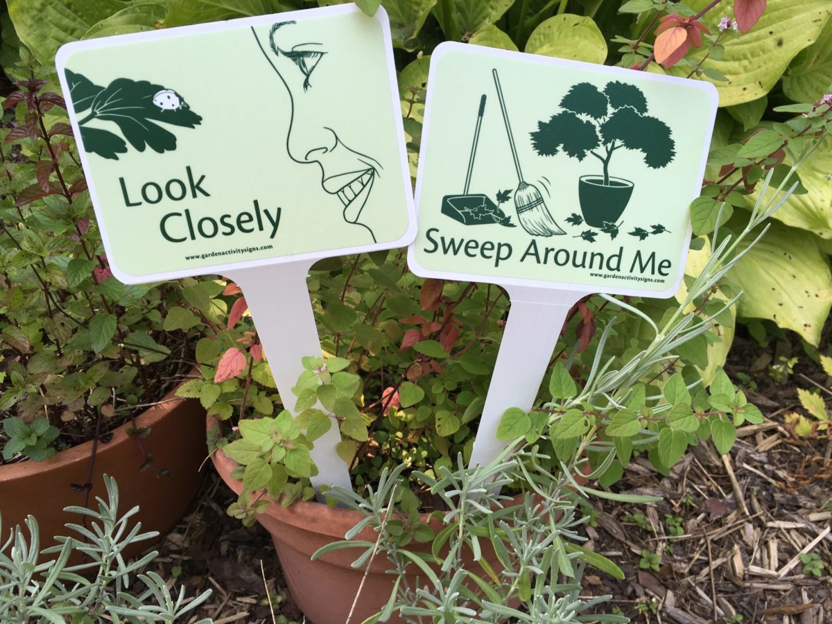 Garden Activity Sign illustrations - Emily S. Damstra