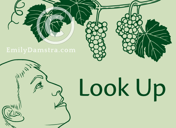 Look Up illustration