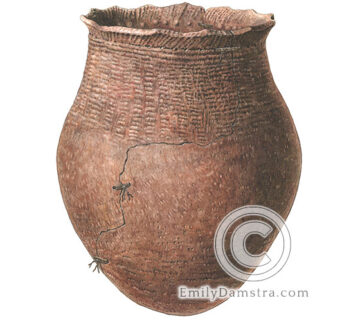 Reconstruction of indigenous pottery (illustration)