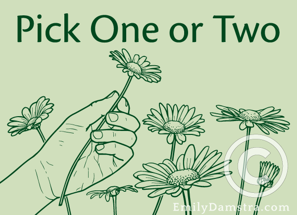 Pick One or Two illustration