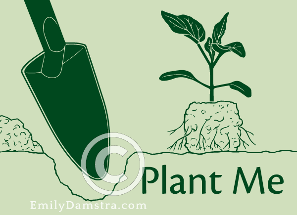 Plant Me illustration