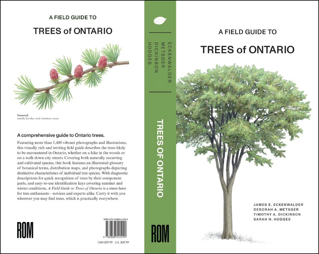 White Elm and Tamarack Cover art for A Field Guide to Trees of Ontario