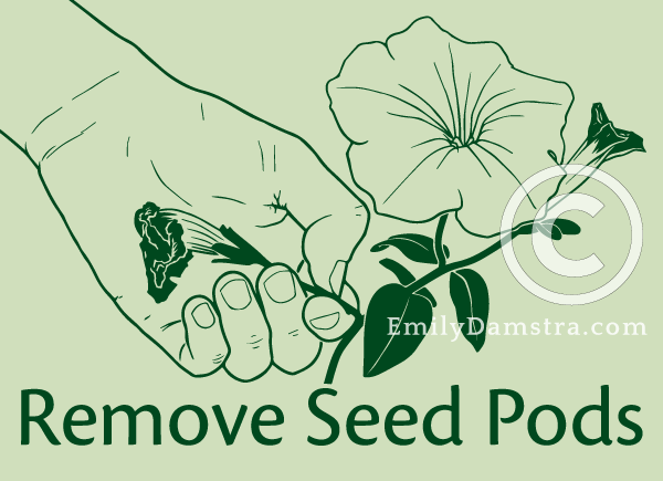 Remove Seed Pods illustration