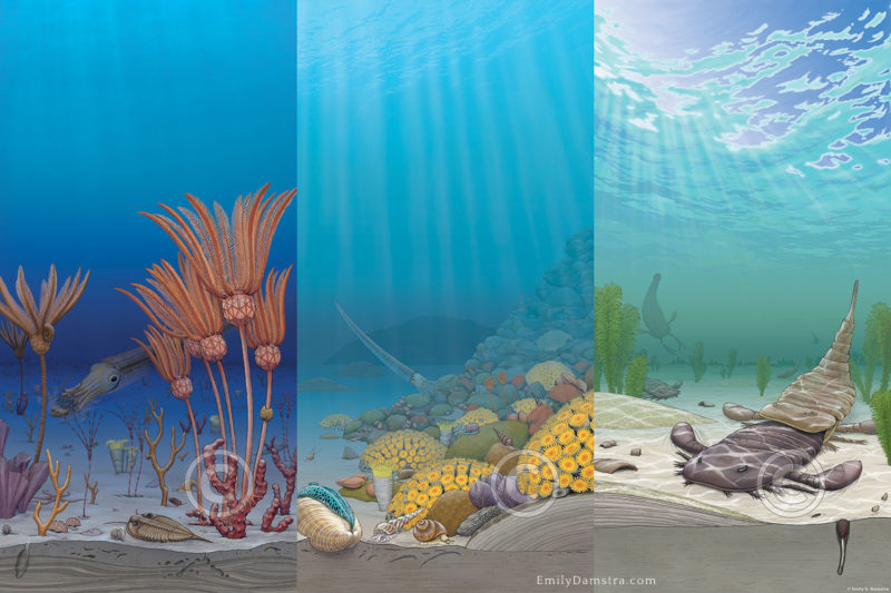 Illustration of three Silurian environments in Southern Ontario