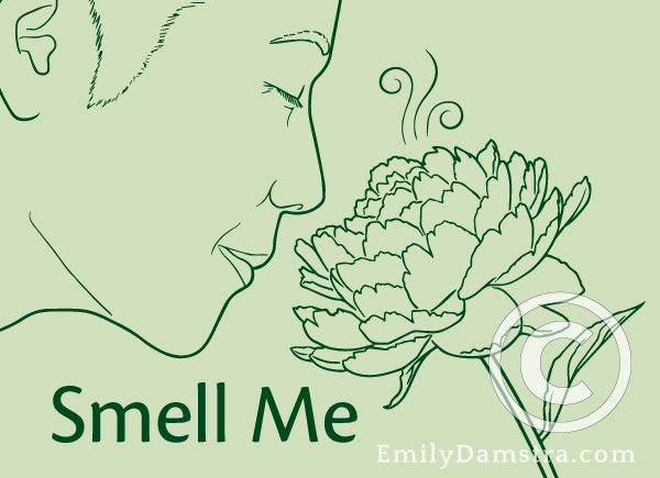 Smell Me illustration