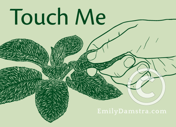 Touch Me illustration