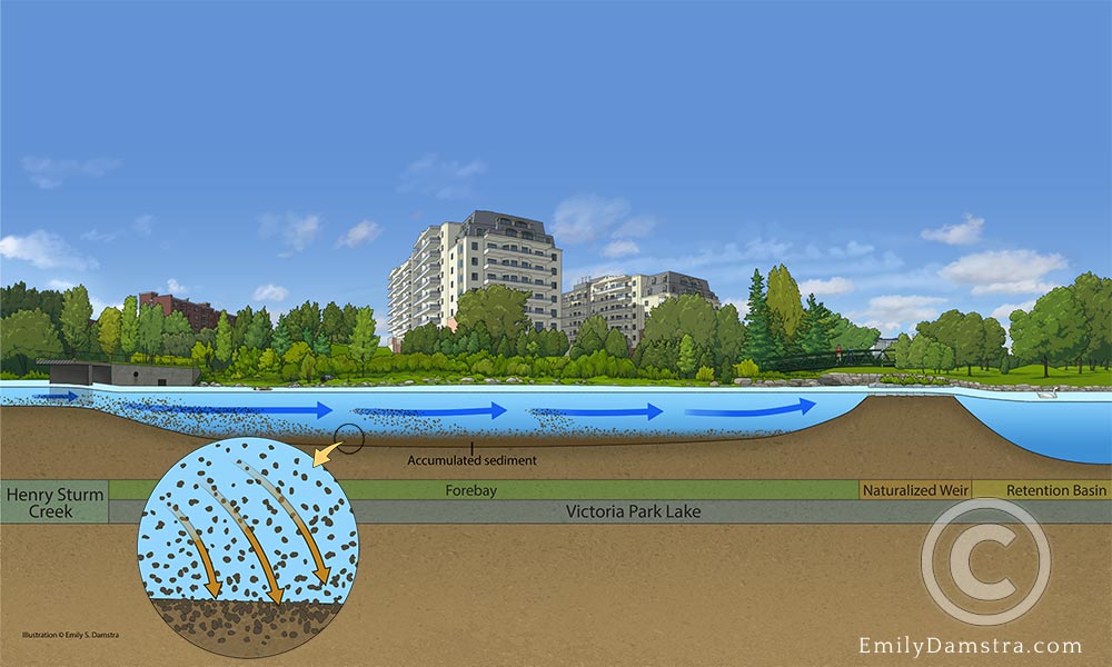 Forebay urban Lake