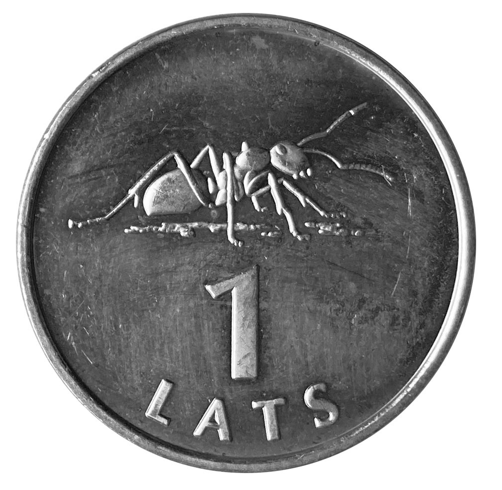 Edith Kanaka`ole Quarter 2 ant coin