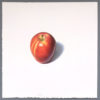 Gala apple art