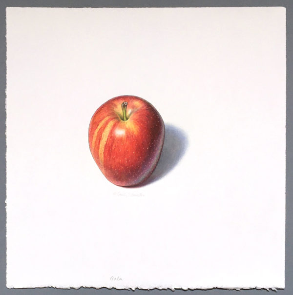 Gala apple art