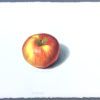 Northern spy apple art