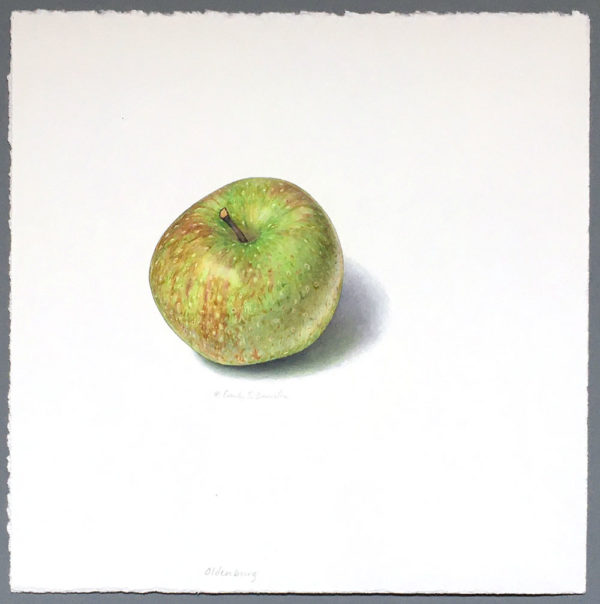 Oldenburg apple art