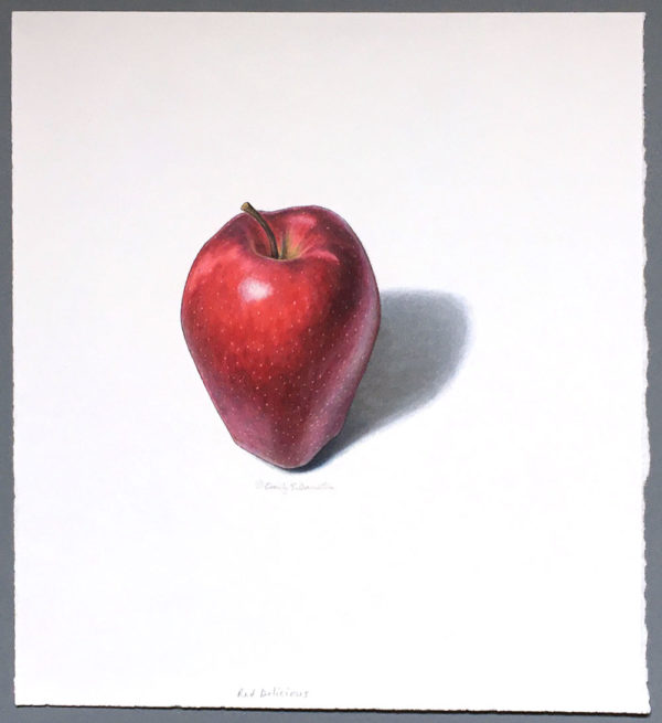 Red Delicious apple art