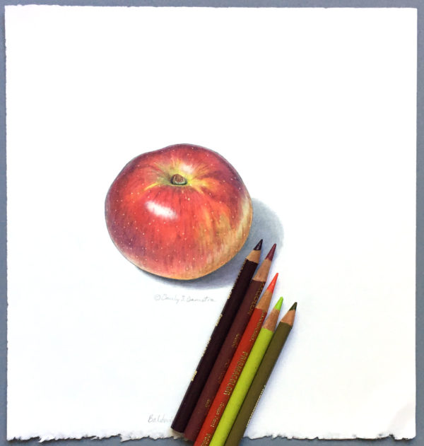 Baldwin apple art - Image 2