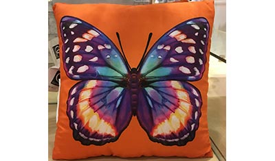 blog butterfly pillow