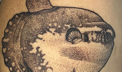 blog ocean sunfish tattoo