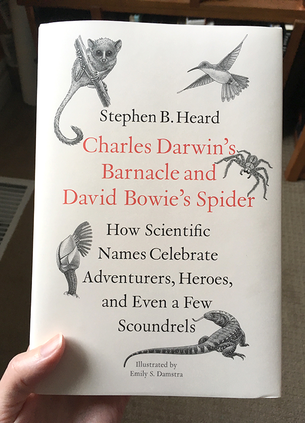 Charles Darwin's Barnacle and David Bowie's Spider 1 Photo of book Charles Darwin's Barnacle