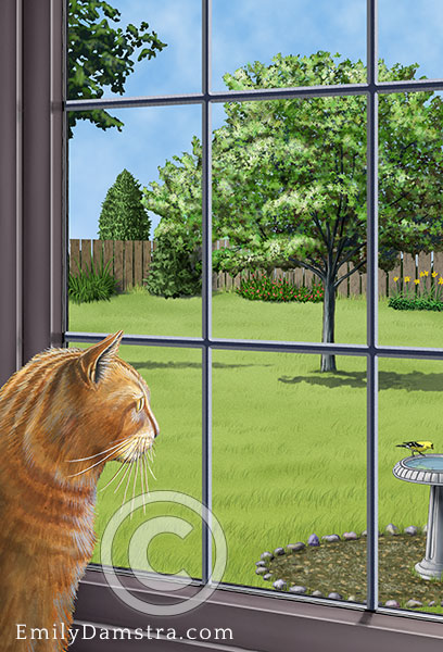 Illustration indoor cat looking out window
