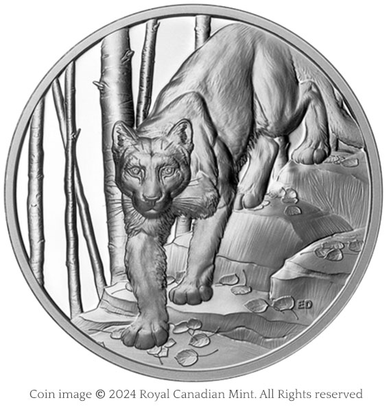 image of a silver coin featuring a cougar descending a rocky slope, with tree trunks in the background