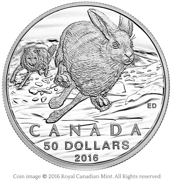 coin hare wolf