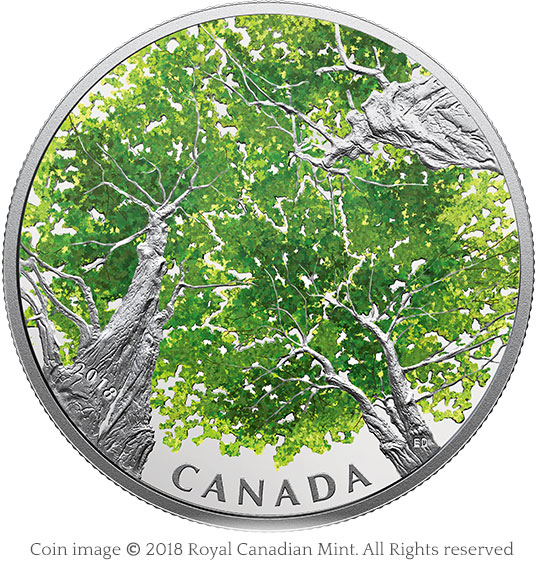 2 oz. Pure Silver Coin - Canadian Canopy: The Maple Leaf
