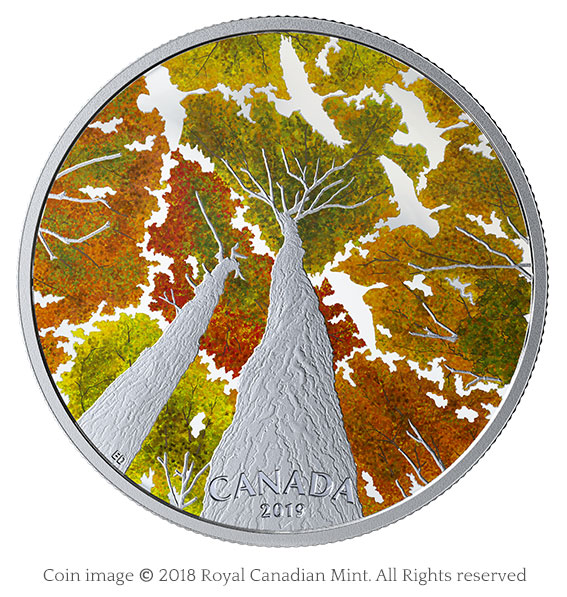 Maple canopy with geese silver coin