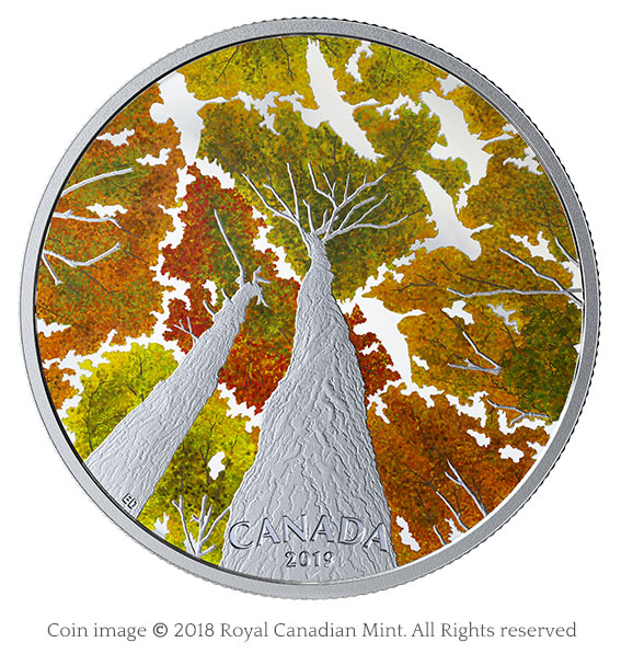 Colorful new coins; shark, grizzly, wolf, and maples 3 Maple canopy with geese silver coin