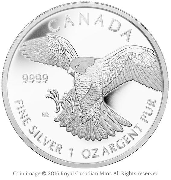 coin peregrine falcon