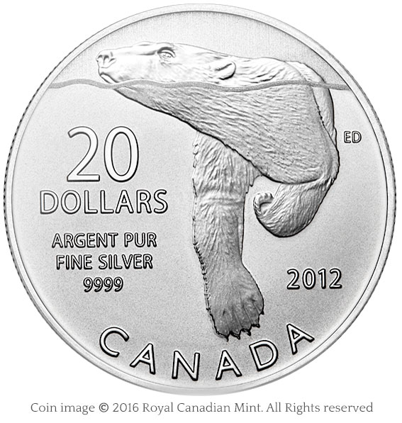 coin polar bear swimming