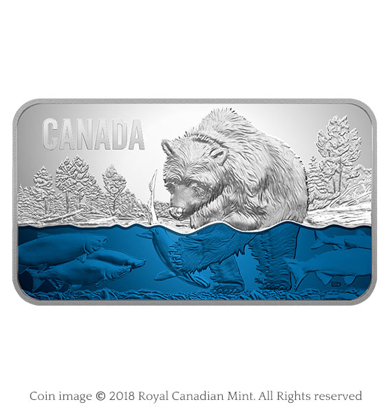 Salmon run rectangular silver coin