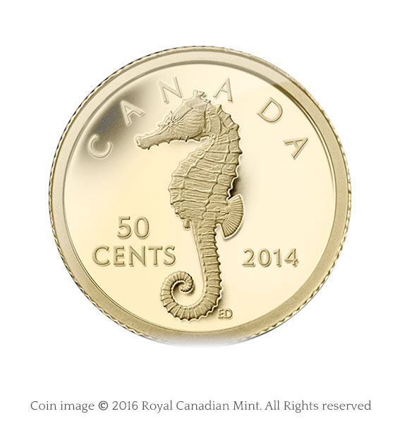 coin sea horse