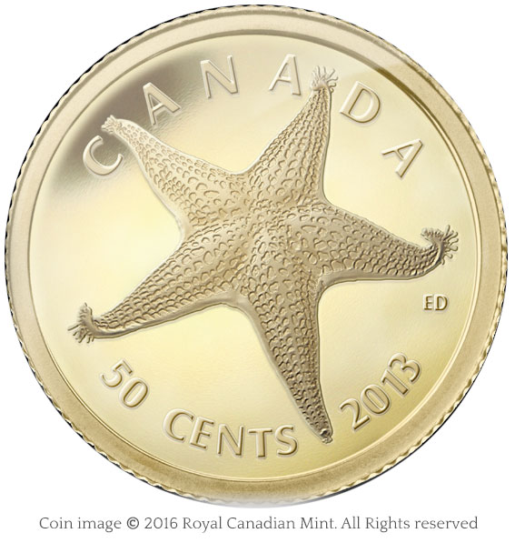 coin sea star