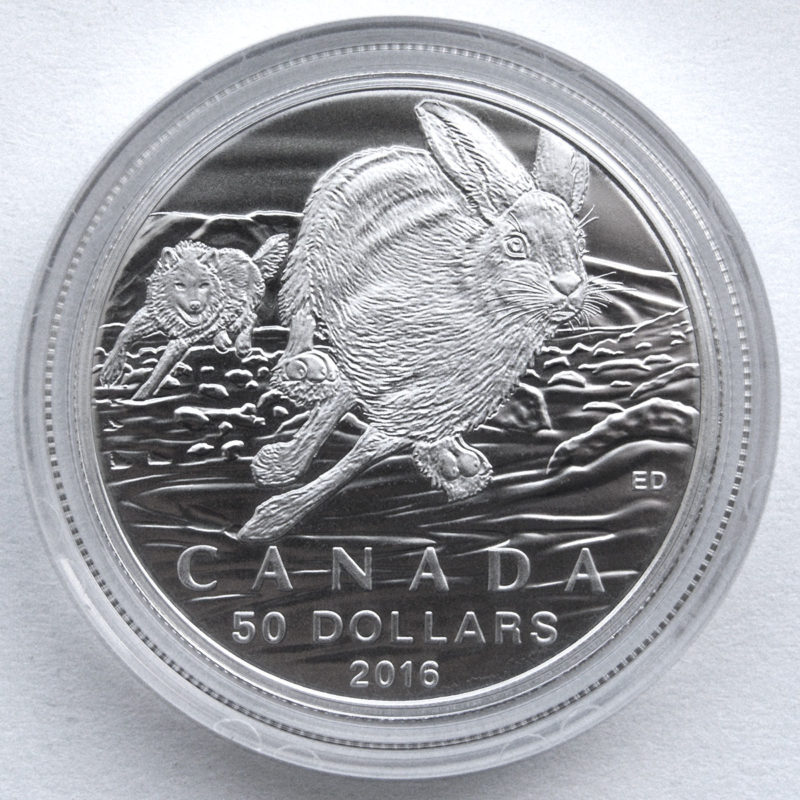 arctic hare silver coin