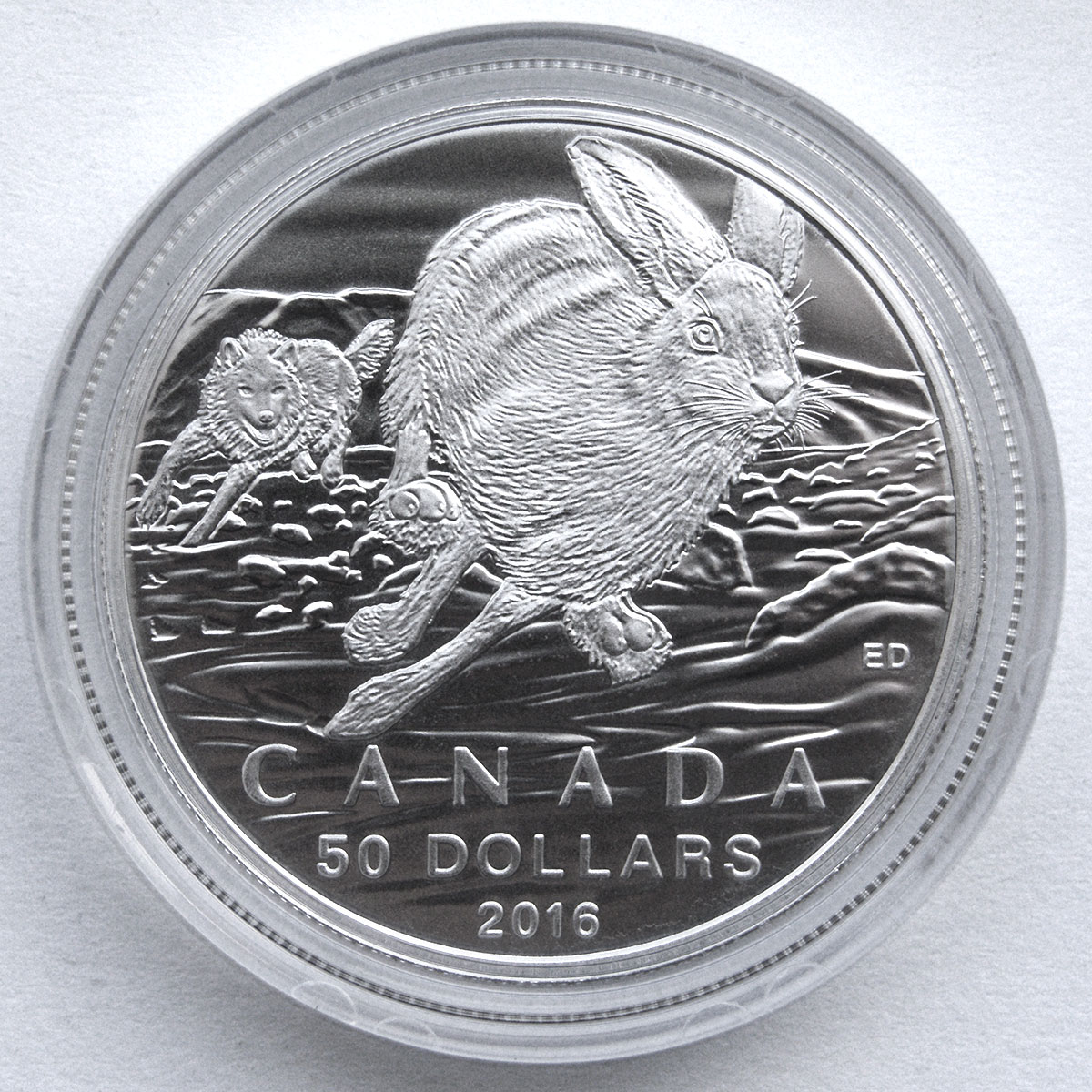 $50 for $50 Fine Silver Coin - Hare (2016) designed by Emily Damstra