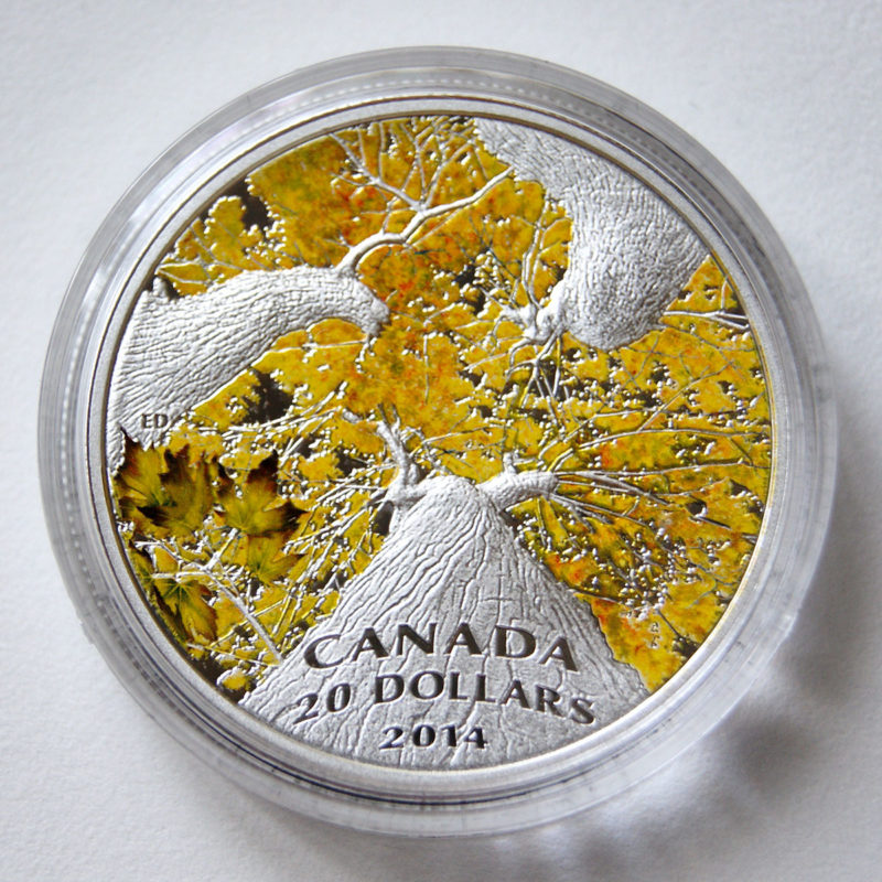 damstra maple canopy 2014 coin