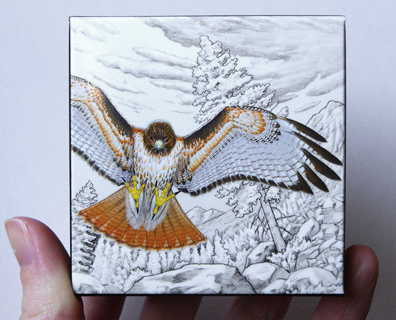 box for red-tailed hawk coin
