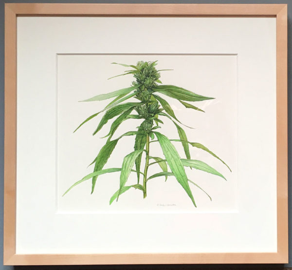 framed original goldenrod painting