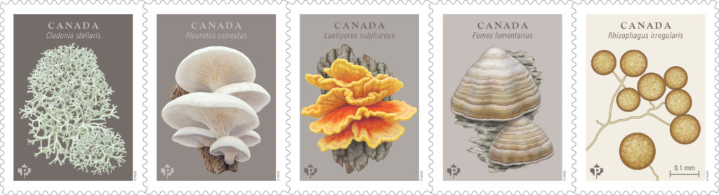 Canada Post fungi stamps 1 Set of 5 fungi stamps